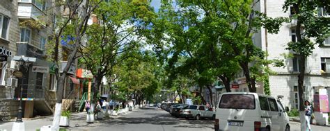 Strada Tudor Vladimirescu – Chișinău, orașul meu